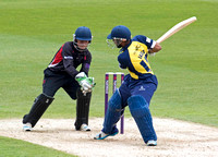 Birmingham Bears v Leicestershire Foxes t20 July 4th 2015