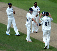 Patel wicket