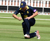 Kevin O'Brien out to a Trott catch