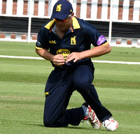 Kevin O'Brien out to a Trott catch