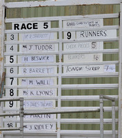 Race 5 The Restricted Race