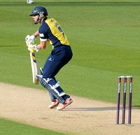 Birmingham Bears v Worcestershire Rapids NatWest t20 May 22nd 2015