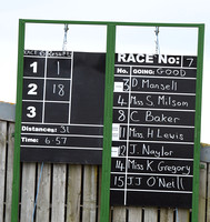 Race 7 The 6 Y.O. and Over Open Maiden Race