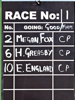 Race 1  The 5 Y.O and over Members Race