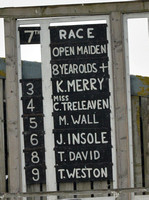Race 7 The 8 Y.O. and over Open Maiden Race
