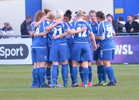 Birmingham City Ladies v Everton Ladies April 16th 2014